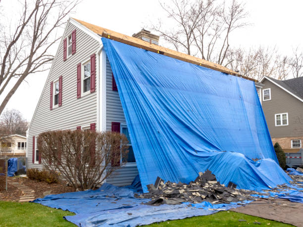 Best Stone Veneer Siding  in Pottsville, AR